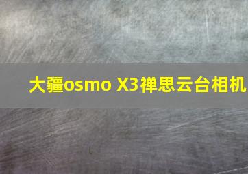 大疆osmo X3禅思云台相机